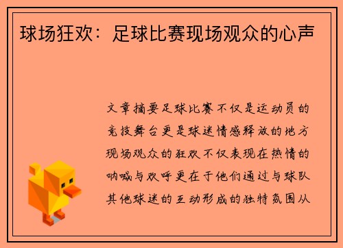 球场狂欢：足球比赛现场观众的心声