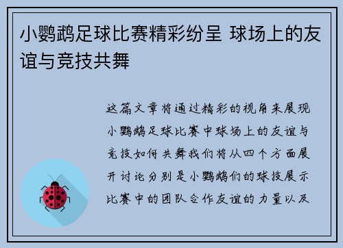 小鹦鹉足球比赛精彩纷呈 球场上的友谊与竞技共舞