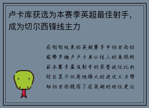 卢卡库获选为本赛季英超最佳射手，成为切尔西锋线主力