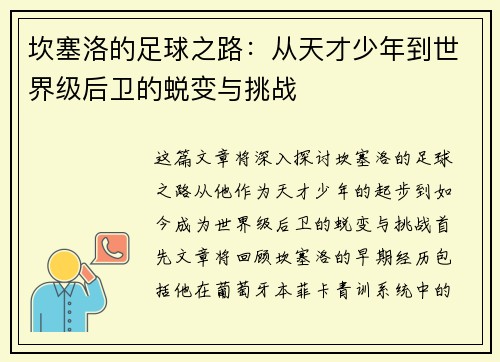 坎塞洛的足球之路：从天才少年到世界级后卫的蜕变与挑战