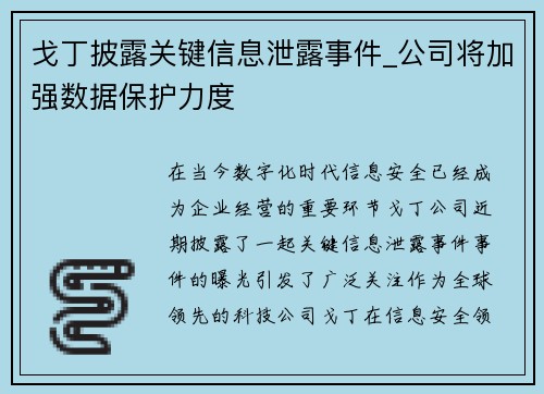 戈丁披露关键信息泄露事件_公司将加强数据保护力度