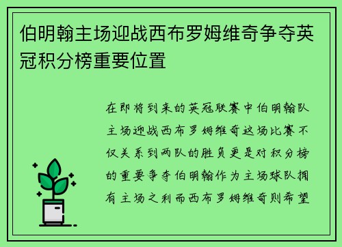 伯明翰主场迎战西布罗姆维奇争夺英冠积分榜重要位置